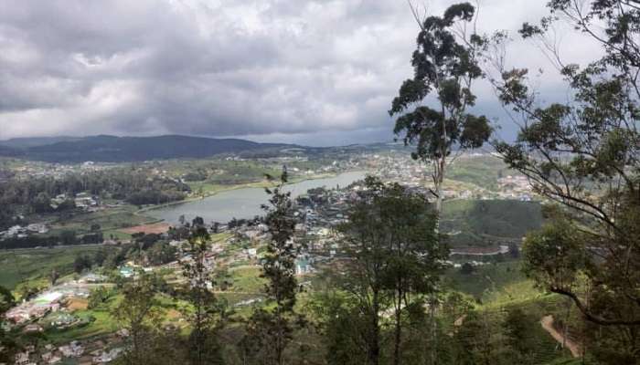 Single Tree Hill, one of the places to visit in Nuwara Eliya