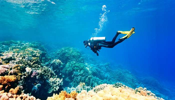 the unrivalled spot for the best scuba diving in Malaysia