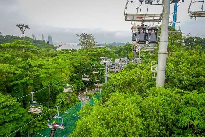 one of the best place for family outdoor activities in Singapore