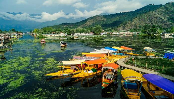 The Jewel of India, Srinagar is one of the topmost honeymoon places to visit in India in July.