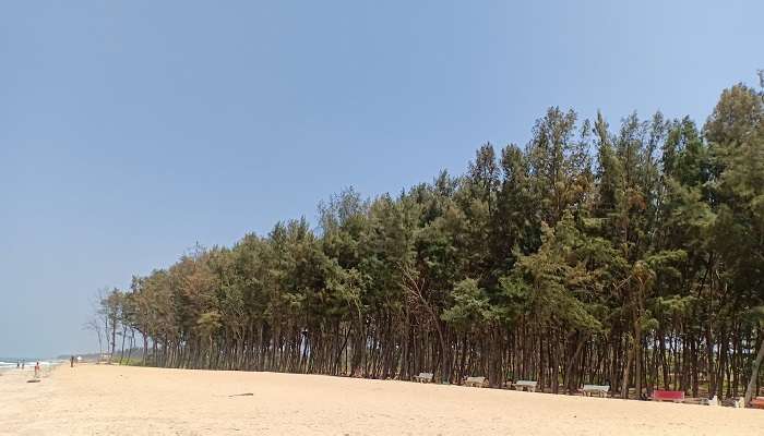 Spend a day at Tannirbhavi Beach is among the best things to do in Mangalore