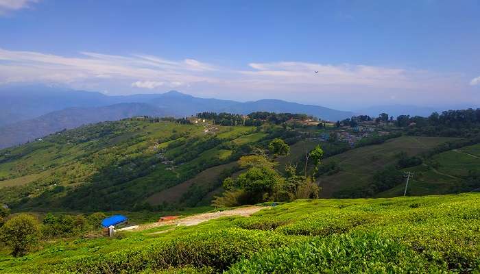 Known for its tea plantations, Darjeeling is one of the most picturesque honeymoon places in India in July month