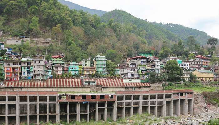 Teesta Market