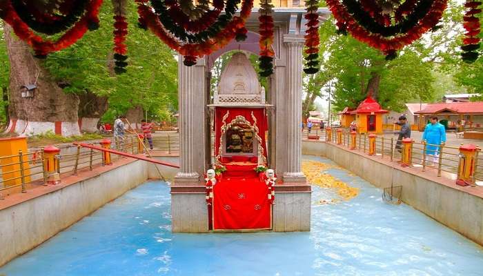 One of the best things to do in Kashmir is visit the Kheer Bhawani Temple.