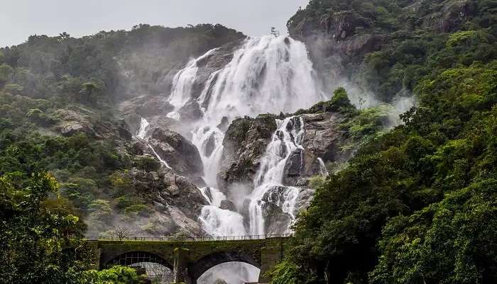 Trek aux cascades de Dudhsagar et aux plantations d’épices