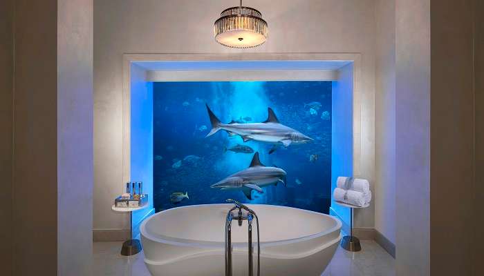 Underwater Suite Bath