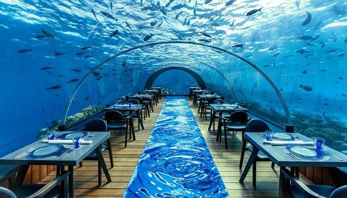 Dining In Underwater Restaurants, among Fun Things To Do In Maldives