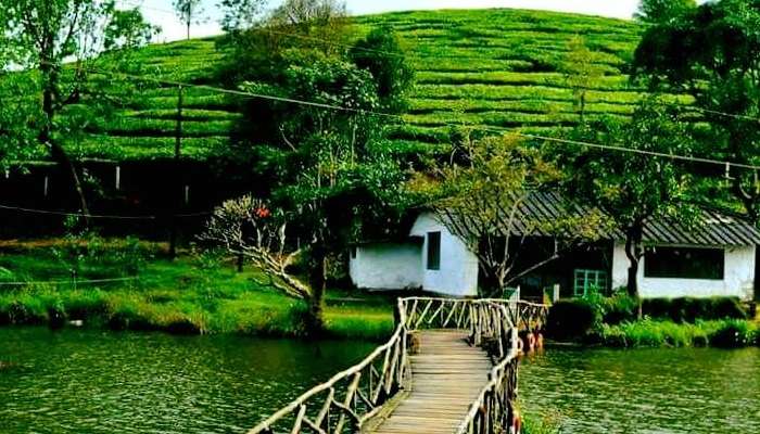 Vagamon Lake, places to visit in Vagamon