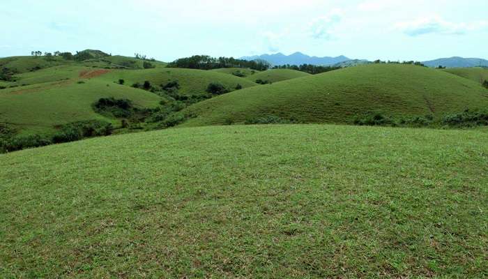  Vagamon Meadows, places to visit in Vagamon