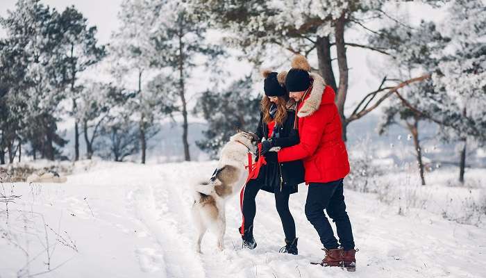 Valentine’s Day In Montreal