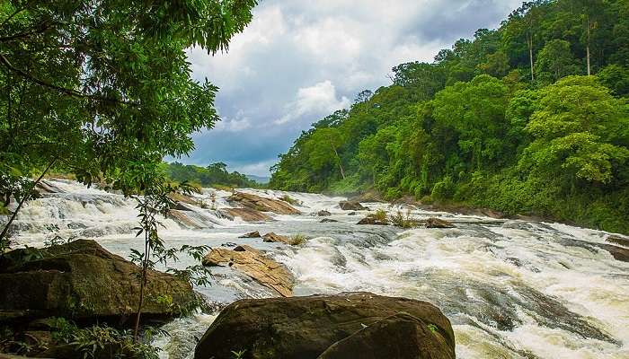 Vazhachal Waterfalls, places to visit near Athirapally Waterfalls