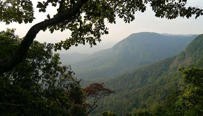 Agumbe, one of the top places to visit in Udupi