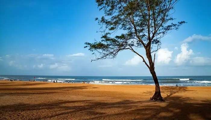 Visitez le charmant nord de Goa