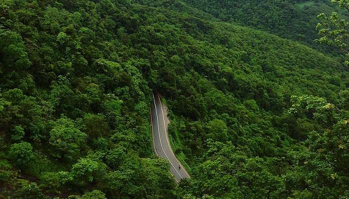 Wayanad Tourist Places