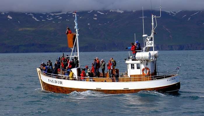 Whales are majestic creatures, and you can go whale spotting in Iceland in July in a boat like the one pictured here.