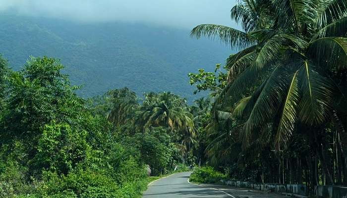 Explore Yercaud