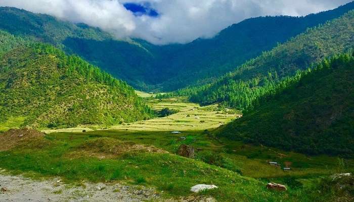  Ziro Valley, places to visit in Arunachal Pradesh