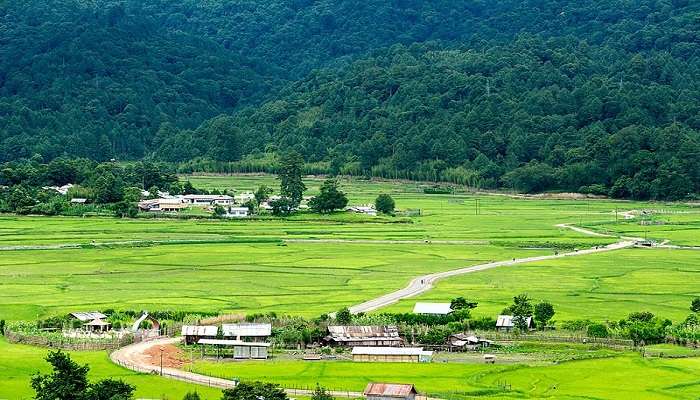 Ziro is another scenic place to spend your summer holidays