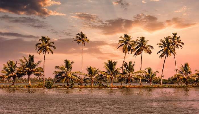 Alleppey, Kerala is one of the best tourist places in South India