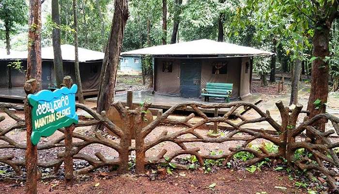 Anejhari Butterfly Camp