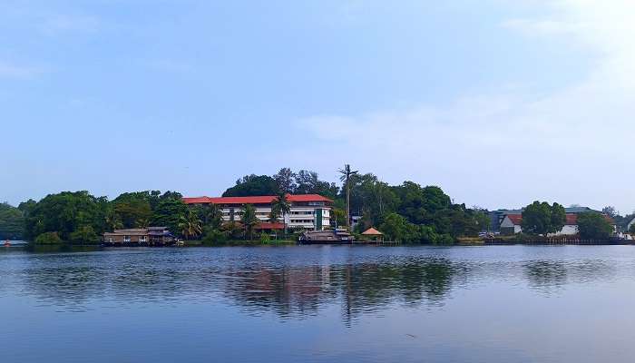 Ashtamudi Lake's serene waters, a perfect spot to enjoy a houseboat ride.