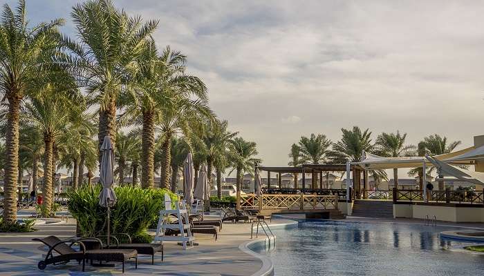 Palm trees at a hotel