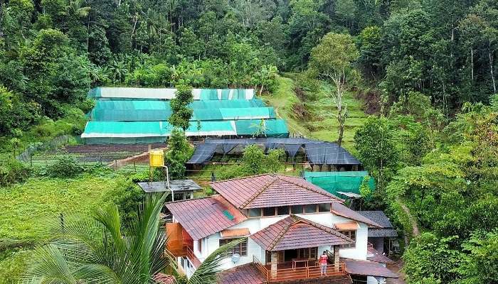 This offbeat and lush green village is one of the best places to visit in Coorg in July.