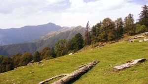 Chopta in Uttarakhand is one of the most picturesque summer vacation destinations for families