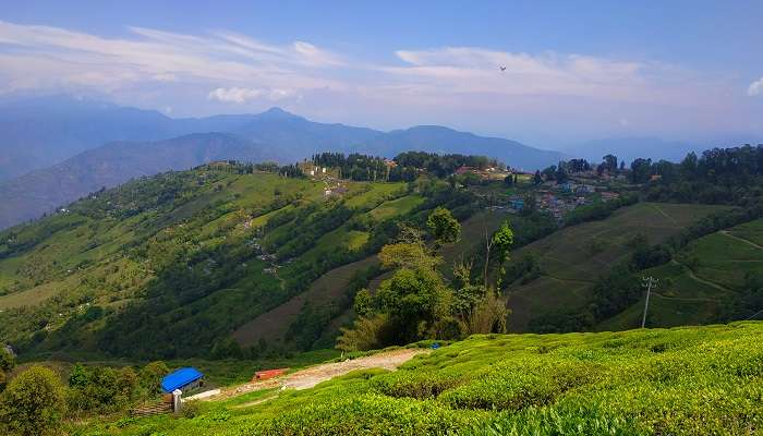 Things to do in Darjeeling