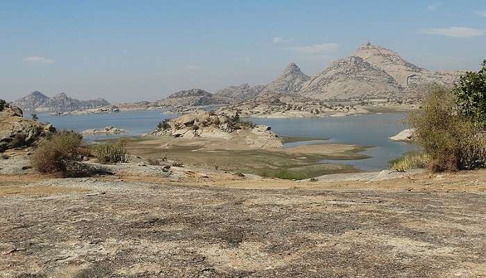 jawai, things to do in Mount Abu