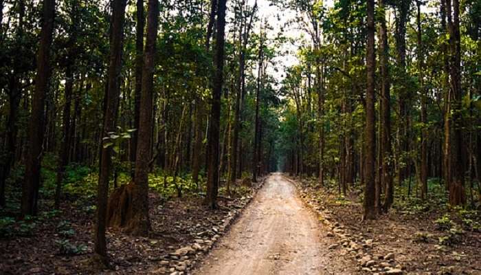 Things To Do In Jim Corbett 