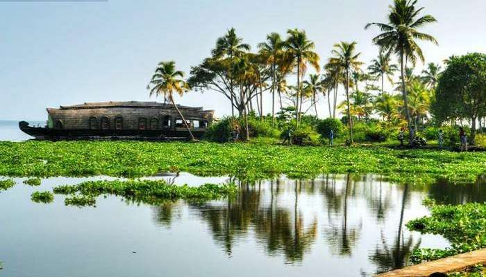 Experience of the serene backwaters, the beautiful beaches, and mind bogglingly green landscape of Kerala