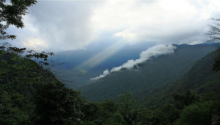 Monsoon in Kerala: Best Time to Visit, Places, Travel Tips & Experiences