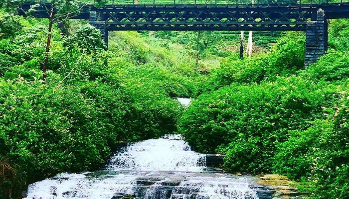 Nanu Oya Falls is among the attractions in Nuwara Eliya