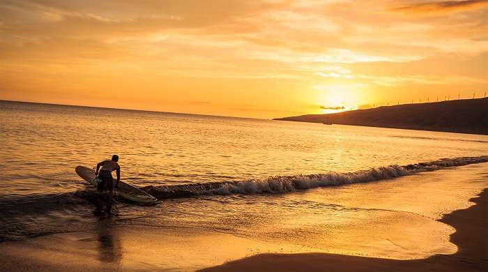 Experience the standup paddle boarding in the lovely sunset