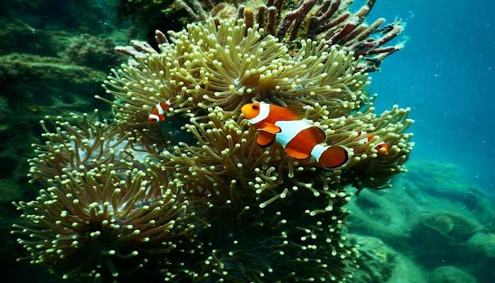 Things to do in Andaman