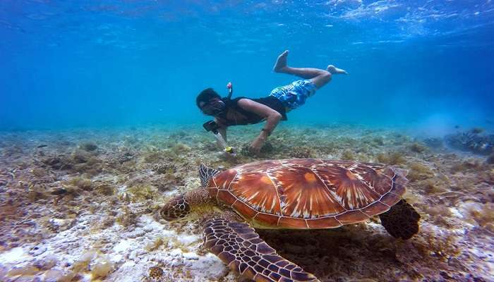 things to do in Mauritius- Snorkeling