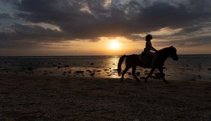 things to do in Mauritius- go horse riding 