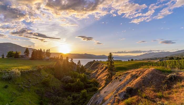 Okanagan Valley is among the best places to visit in Canada known for  its fine wineries