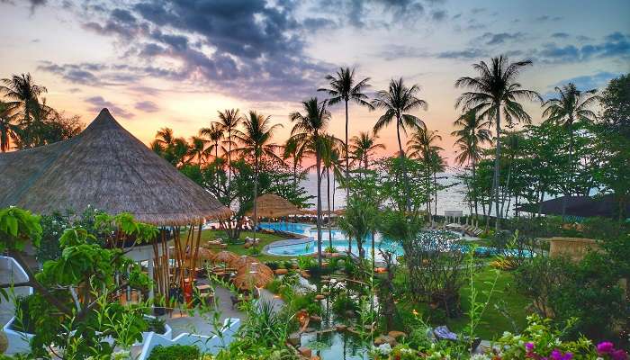 Palm trees and sunset at hotel