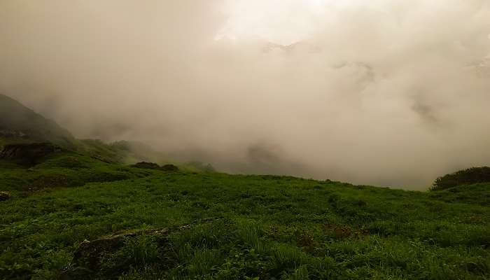 Landscapic view in Himachal Pradesh