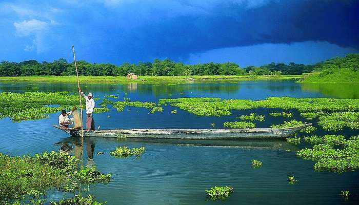 Floating national park