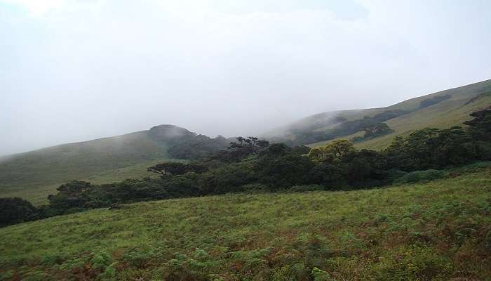 Brahmagiri Peak is one of the scenic places in Coorg