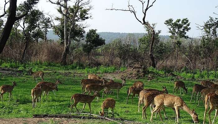 Melhores lugares para visitar