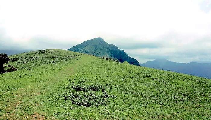 Visit Kabbe Hill- one of the place to visit in Coorg