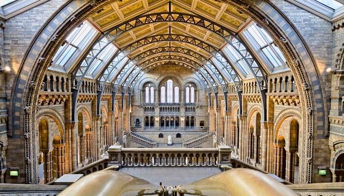 Spend Amazing day at Natural History Museum