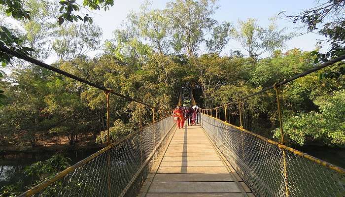 Cauvery Nisargadhama is one of the relaxing places to visit in Coorg