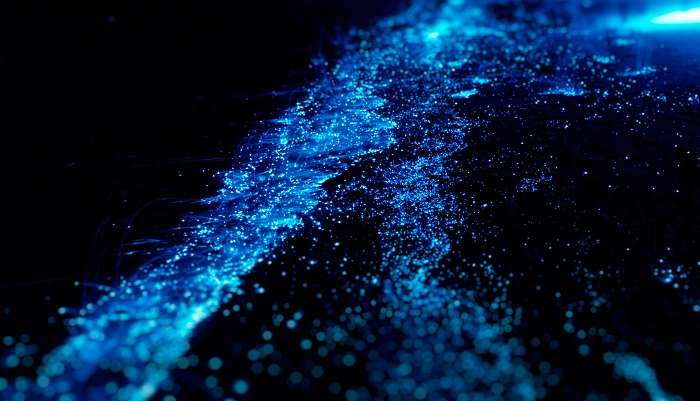 Illumination of plankton at Maldives