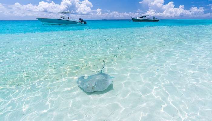 crystal clear waters at the Fulidhoo island