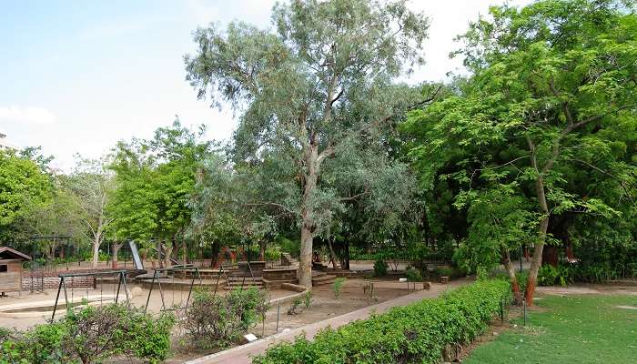 Law Garden, things to do in Ahmedabad